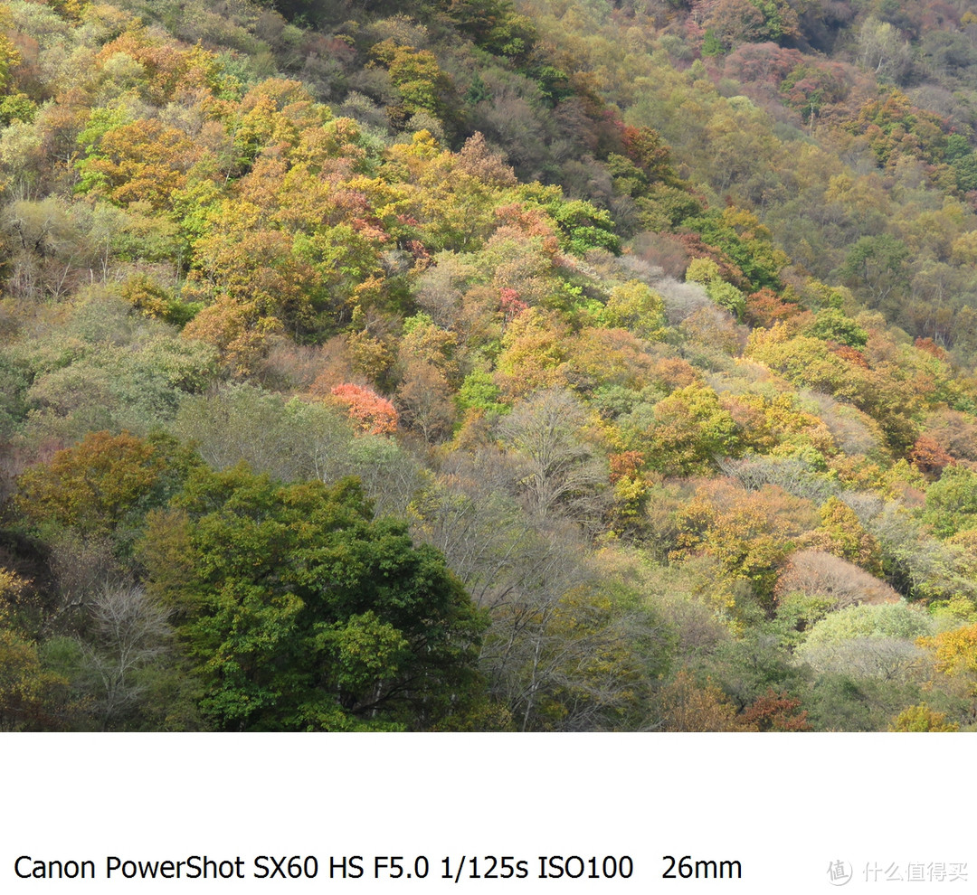 廉价！打鸟打月亮旅游流浪当狗仔神器的绝唱 — Canon 佳能 SX60 HS评测