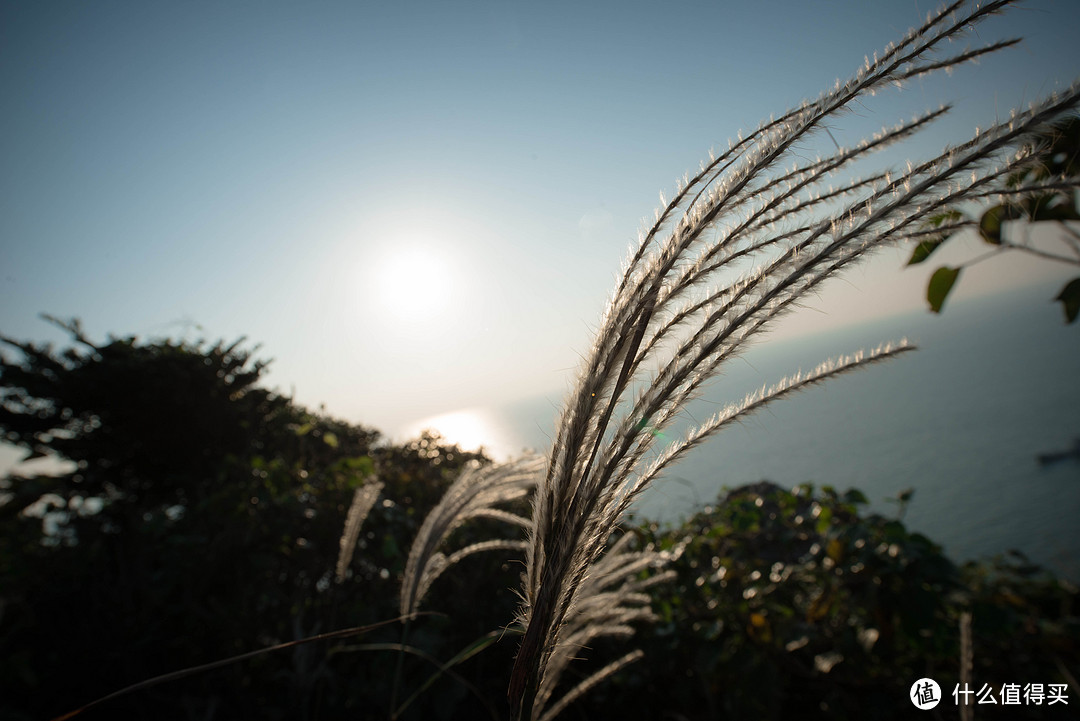 其实立冬时节也可以从心感受碧海蓝天： 话说上海自驾东极列岛