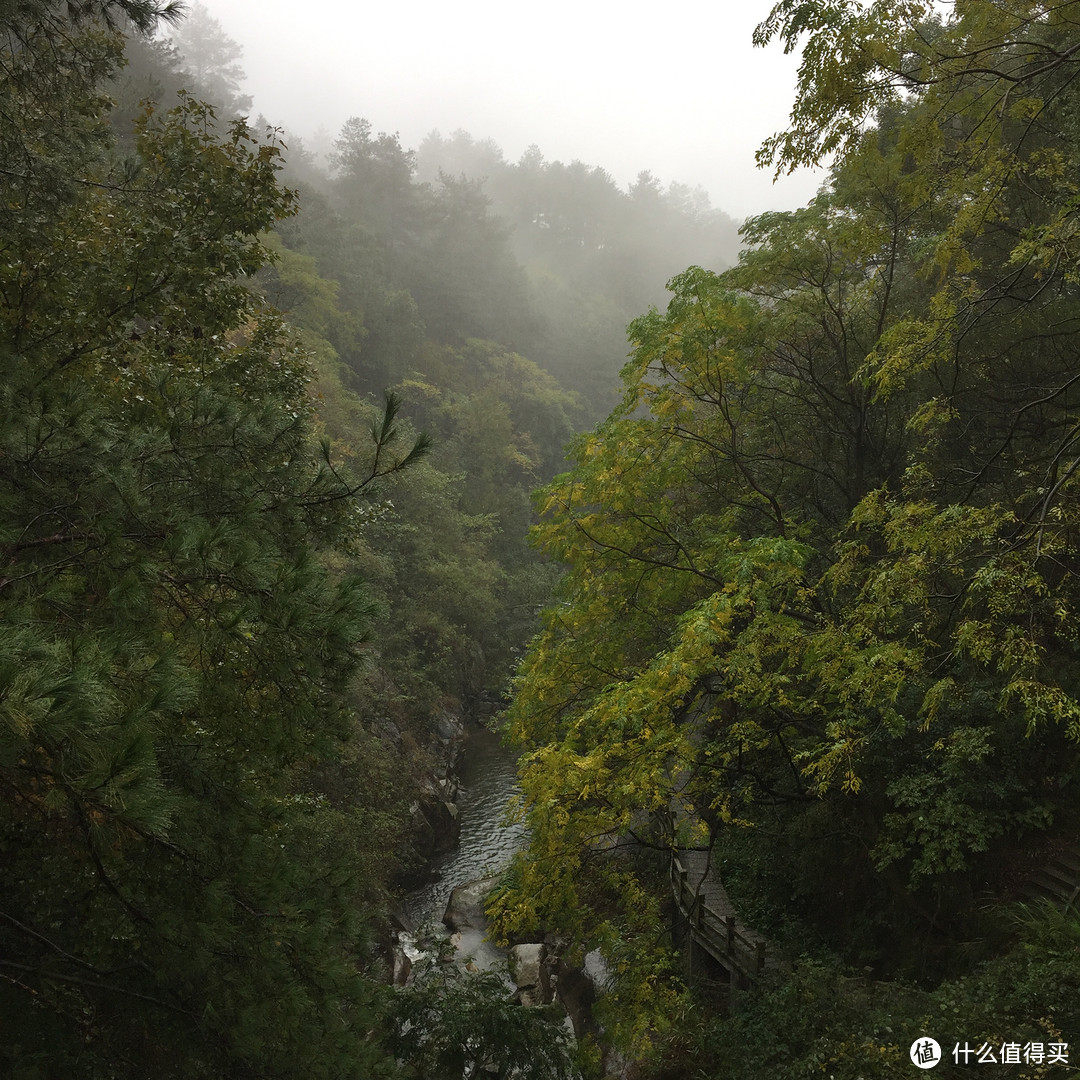 归去何须别看山——南岳衡山游