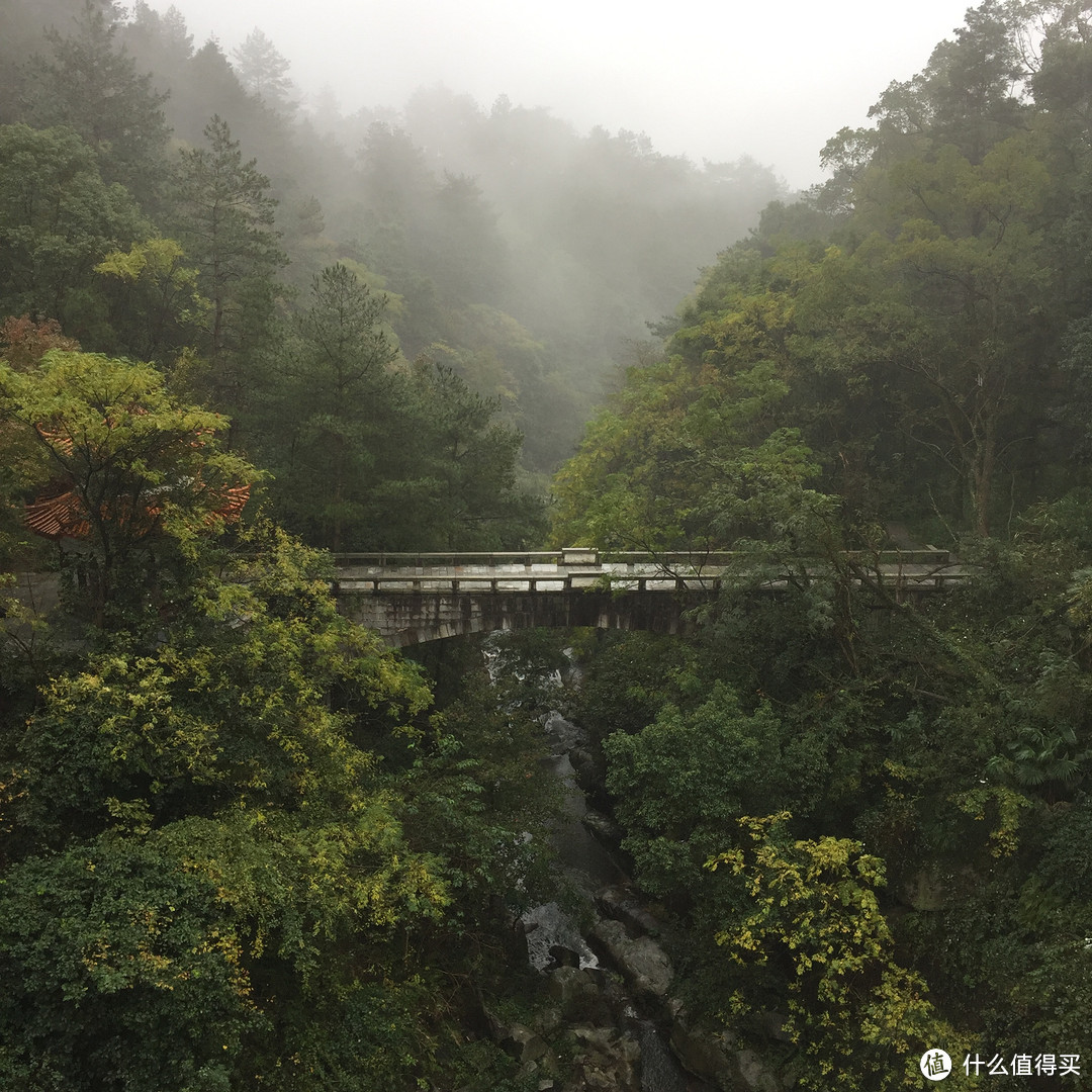 归去何须别看山——南岳衡山游