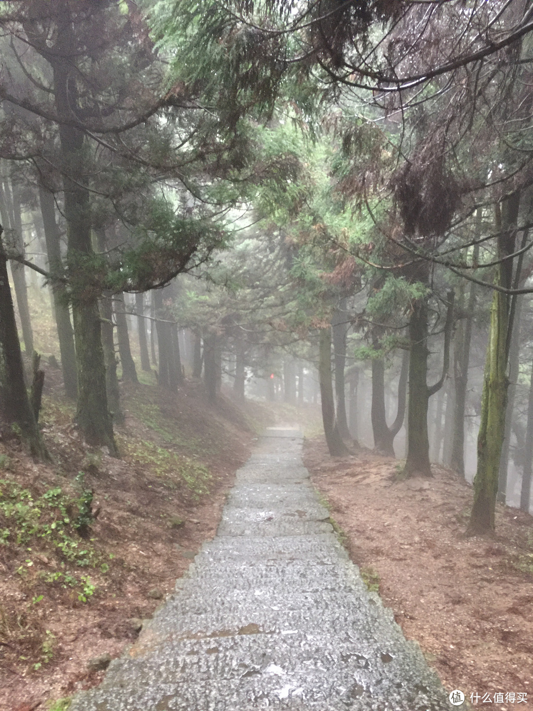 归去何须别看山——南岳衡山游