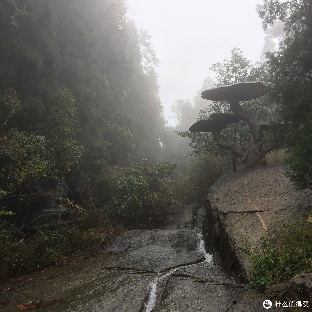 归去何须别看山——南岳衡山游