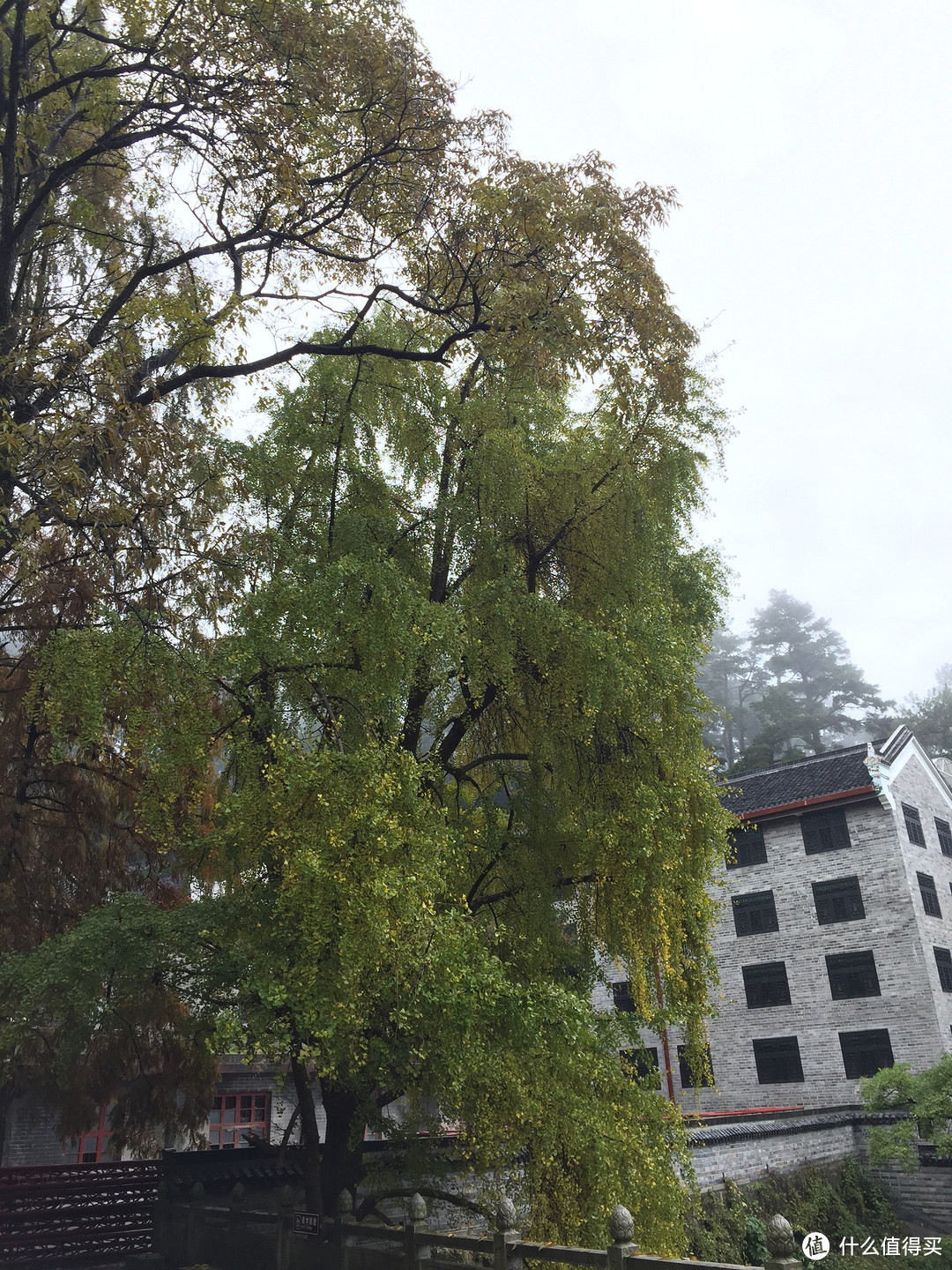 归去何须别看山——南岳衡山游