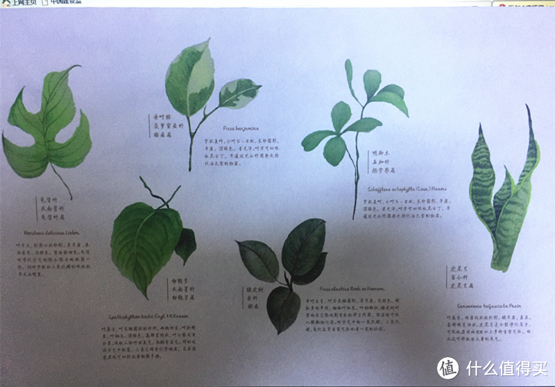 雾霾天的及时雨—— EraClean LEAF 车载空气净化器使用报告 