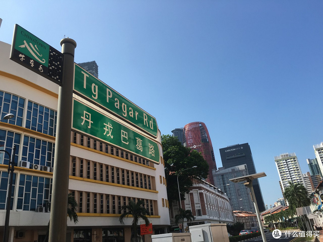 学校圆梦+动物园+回国