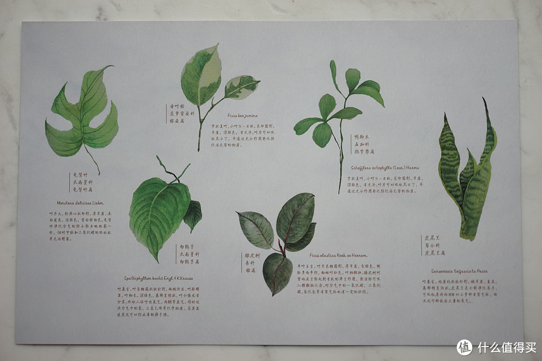 为车载空气净化器功效正名 - EraClean LEAF 车载空气净化器使用报告