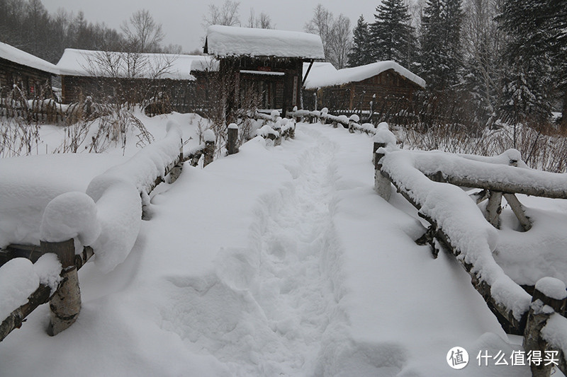 大家感受一下此时的雪有多厚