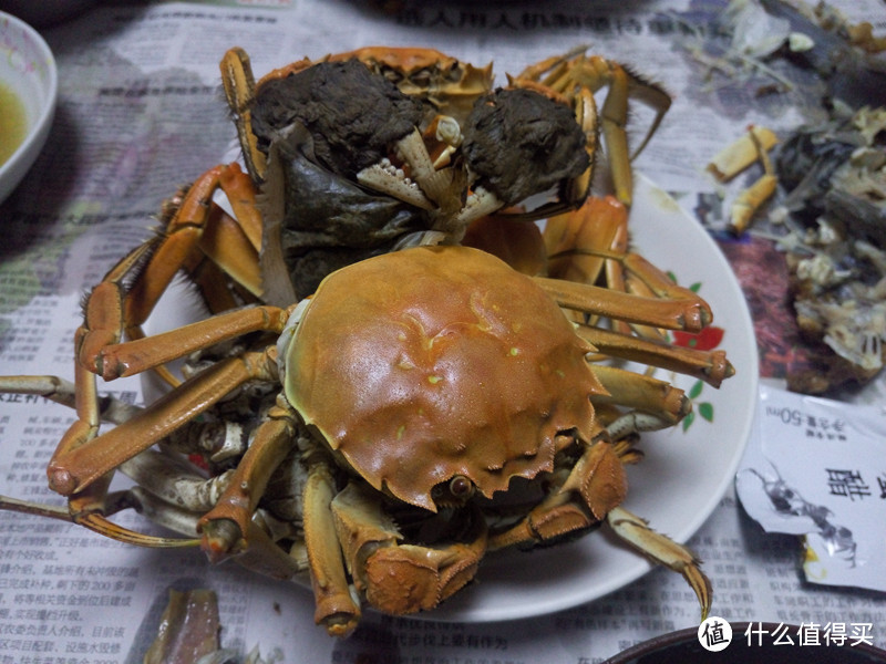 11月中旬我来晒一波阳橙湖大闸蟹吃货体验