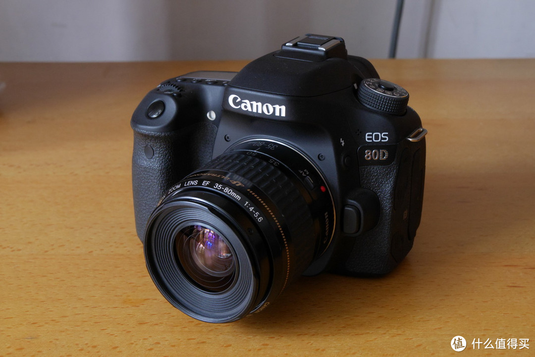 #追光影的人#20年前的感动常在——Canon 佳能 EOS1000FN老树新芽