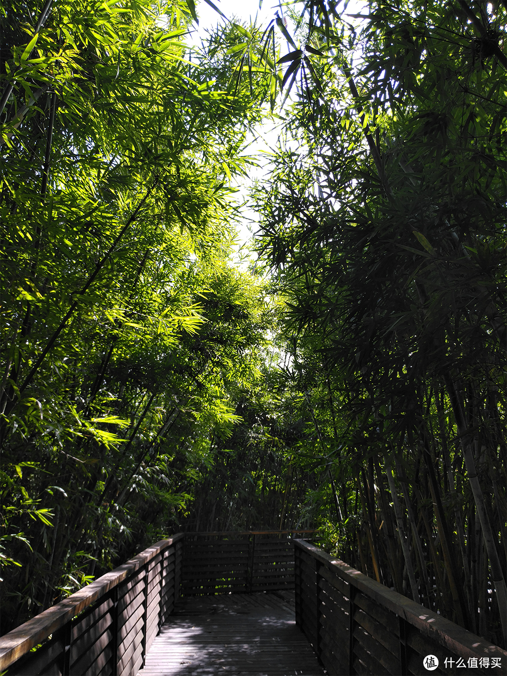 风景这边独好--锤子M1手机众测报告