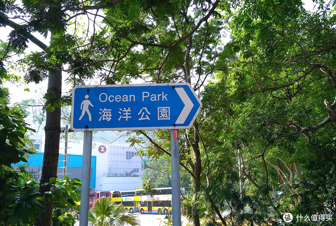 带着孩子去旅行，香港海洋公园一日游随拍！