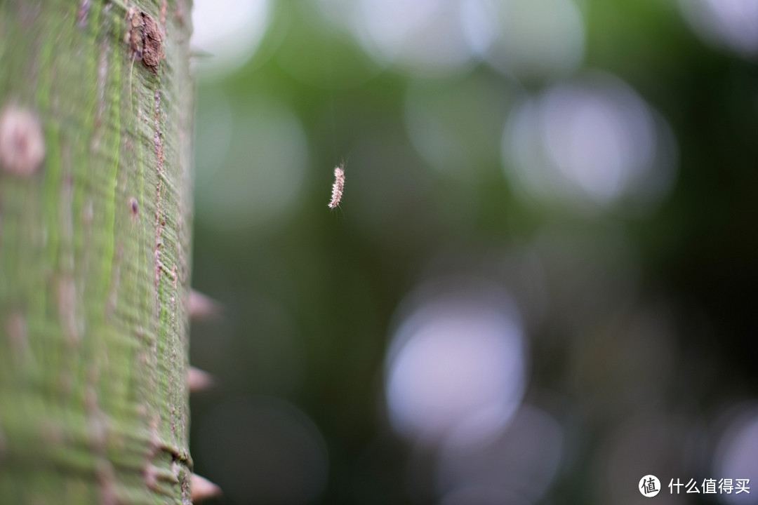 中一光学 MITAKON SPEEDMASTER 2代 35MM F0.95镜头 富士FX卡口使用心得