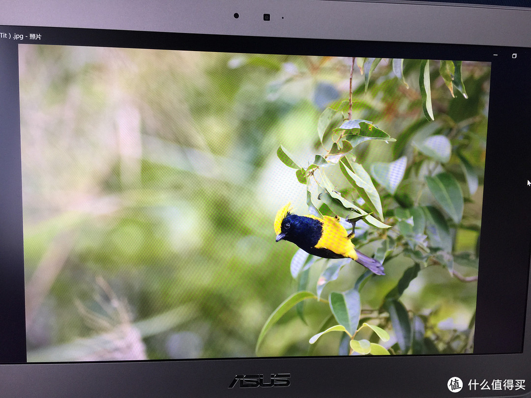 抛弃信仰——小众轻薄本ASUS 华硕 Zenbook U306UA开箱