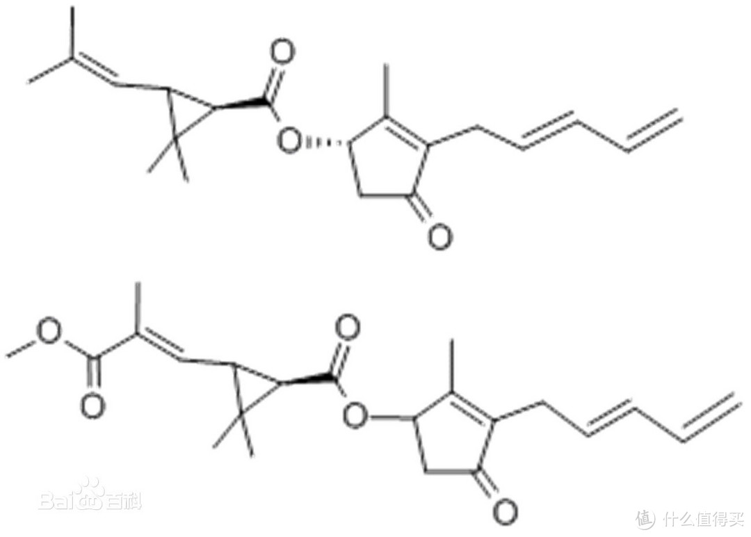 幽禽除蠹啄槎牙 — 家庭灭木虫行动纪实