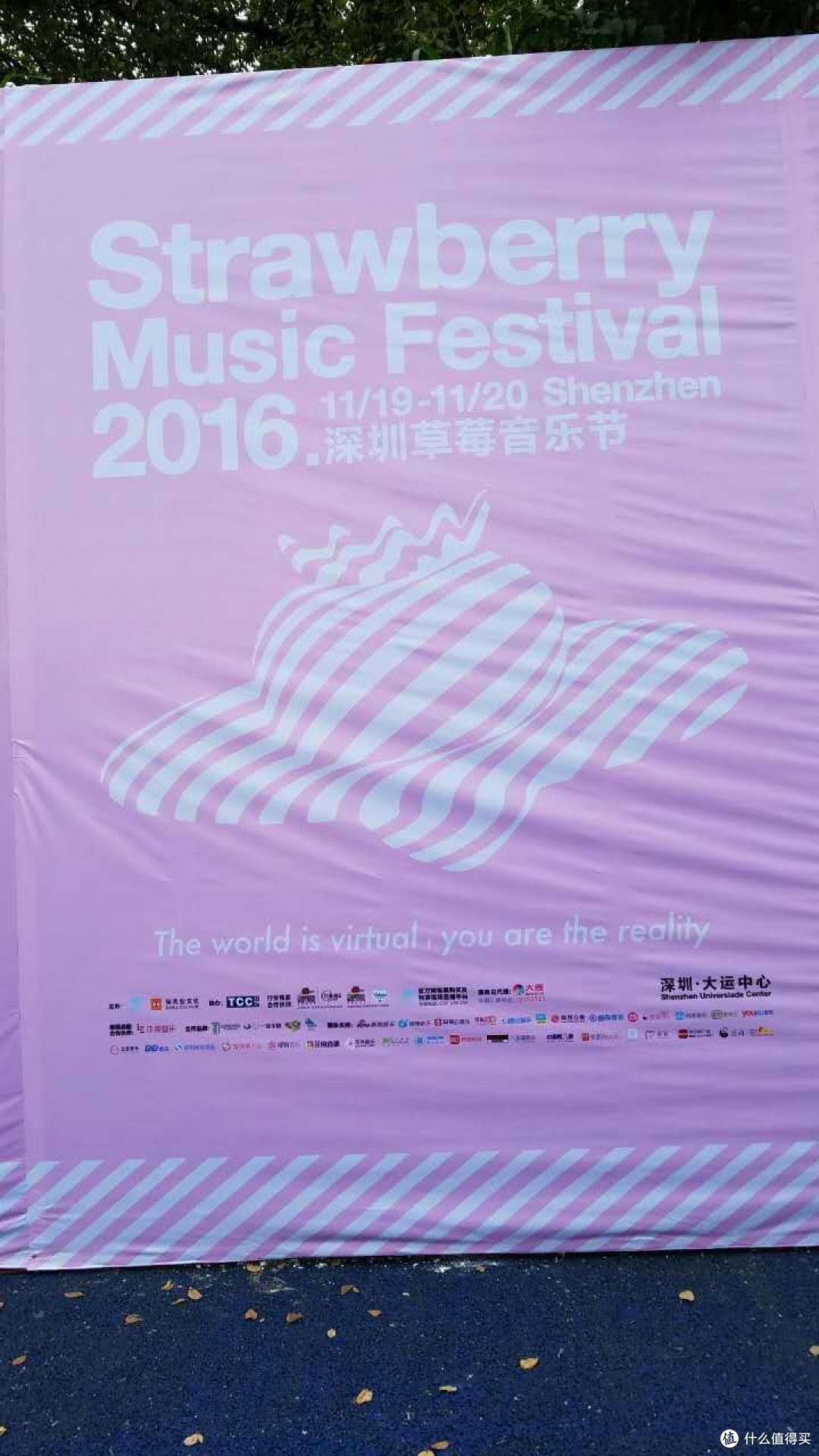 周末噪起来:深圳草莓音乐节随记