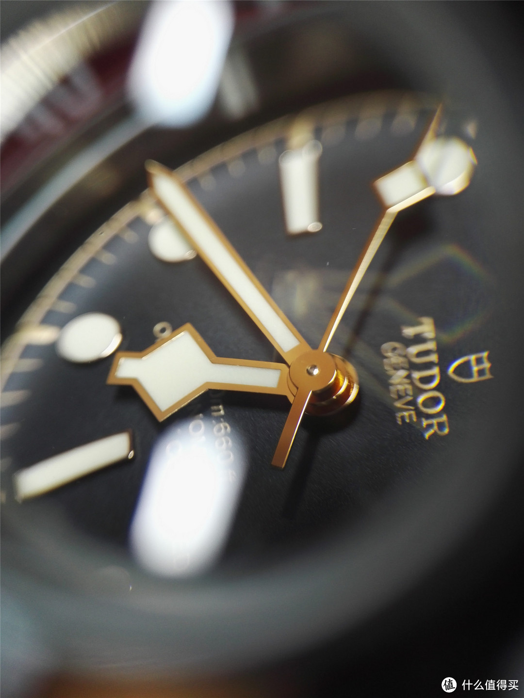 TUDOR 帝舵 Heritage Black Bay 79230R 新款小红花 机械表