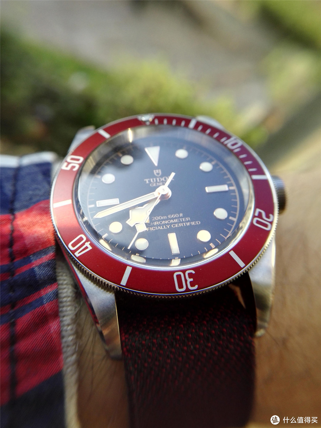 TUDOR 帝舵 Heritage Black Bay 79230R 新款小红花 机械表