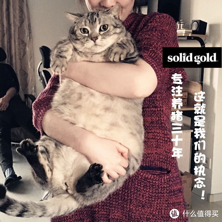 第二步：猫奴必备好物list之医疗保健用品