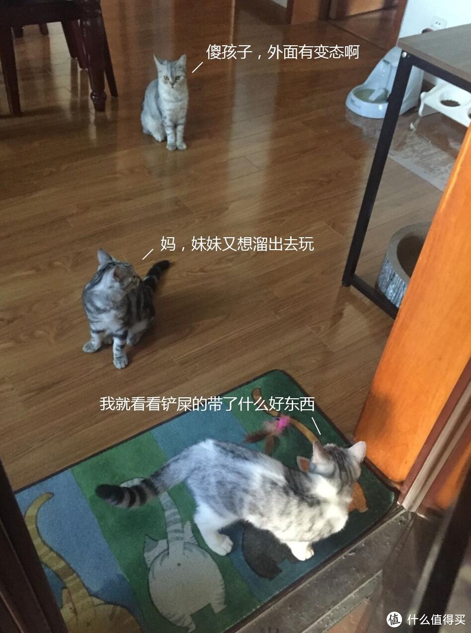 第二步：猫奴必备好物list之医疗保健用品