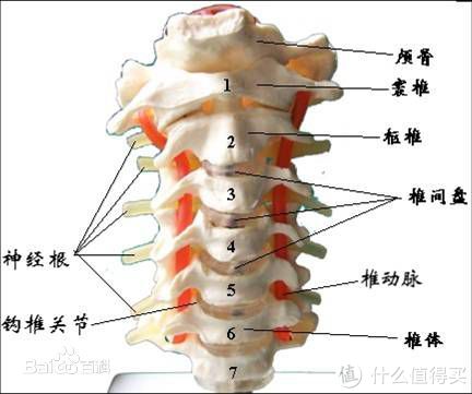 大概是序号3