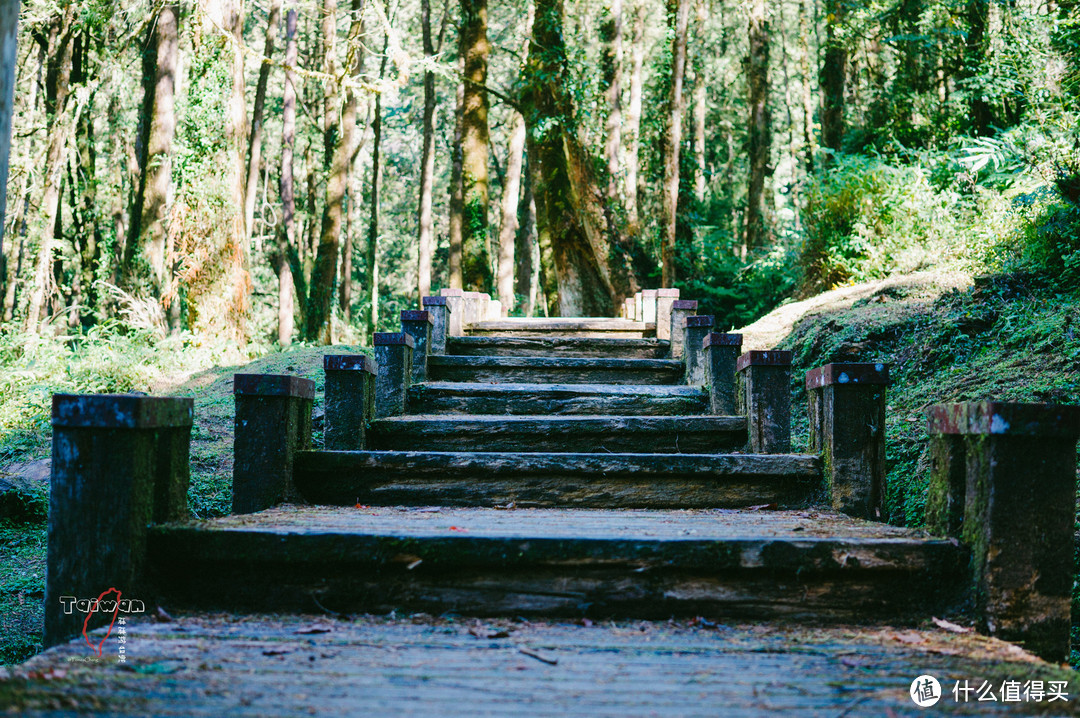 林间步道