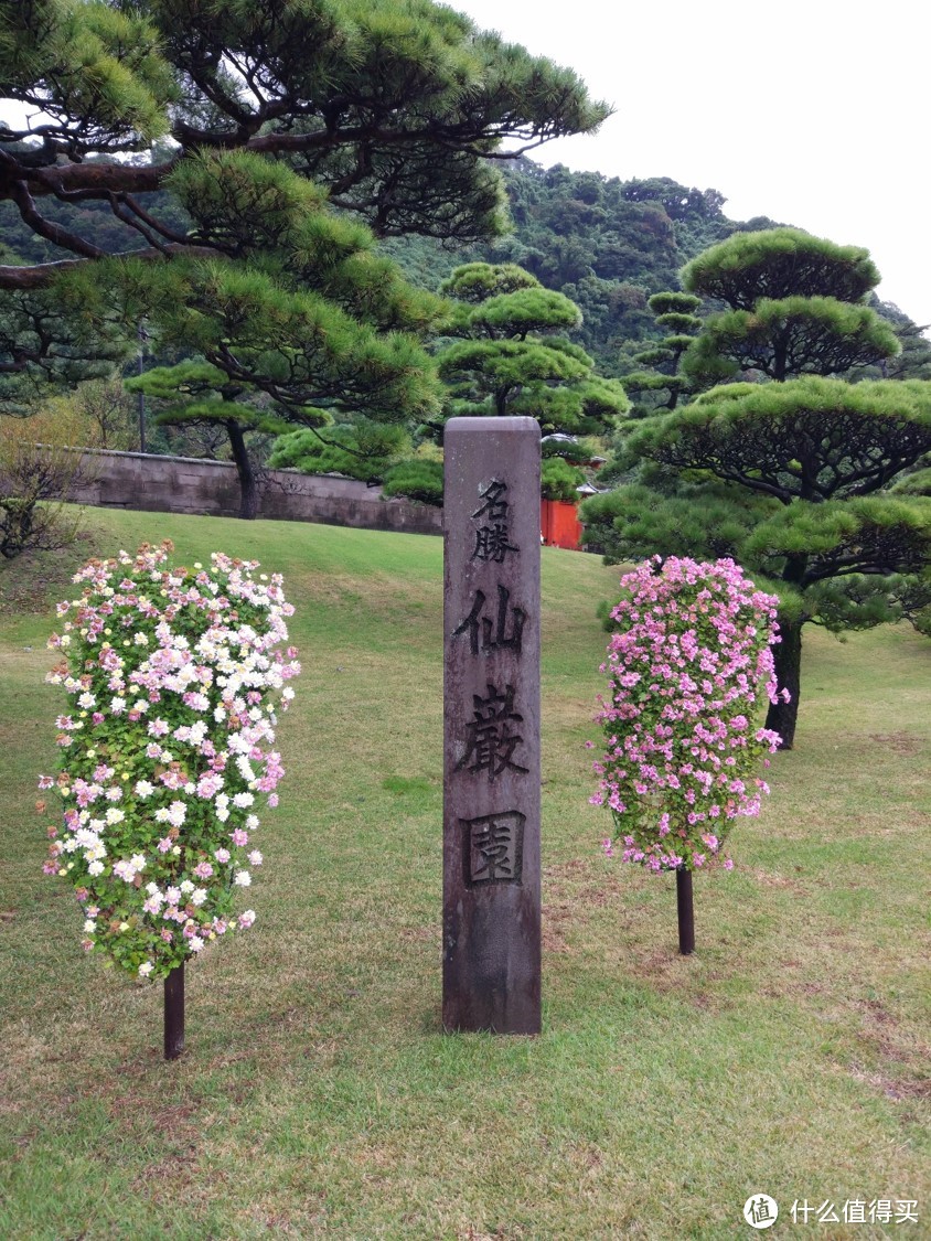 #原创新人#一个人的深秋鹿儿岛——记5天4晚自由行