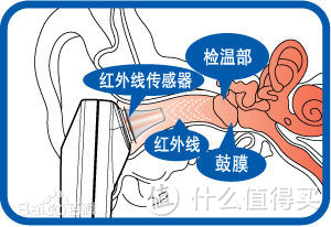 第一次握手中亚海外购：BRAUN 博朗 IRT 6520 耳温枪 晒单