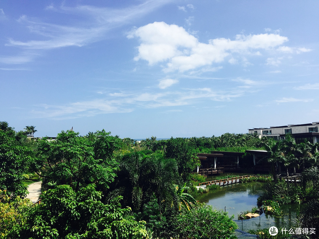 海棠湾初体验——海棠湾君悦酒店