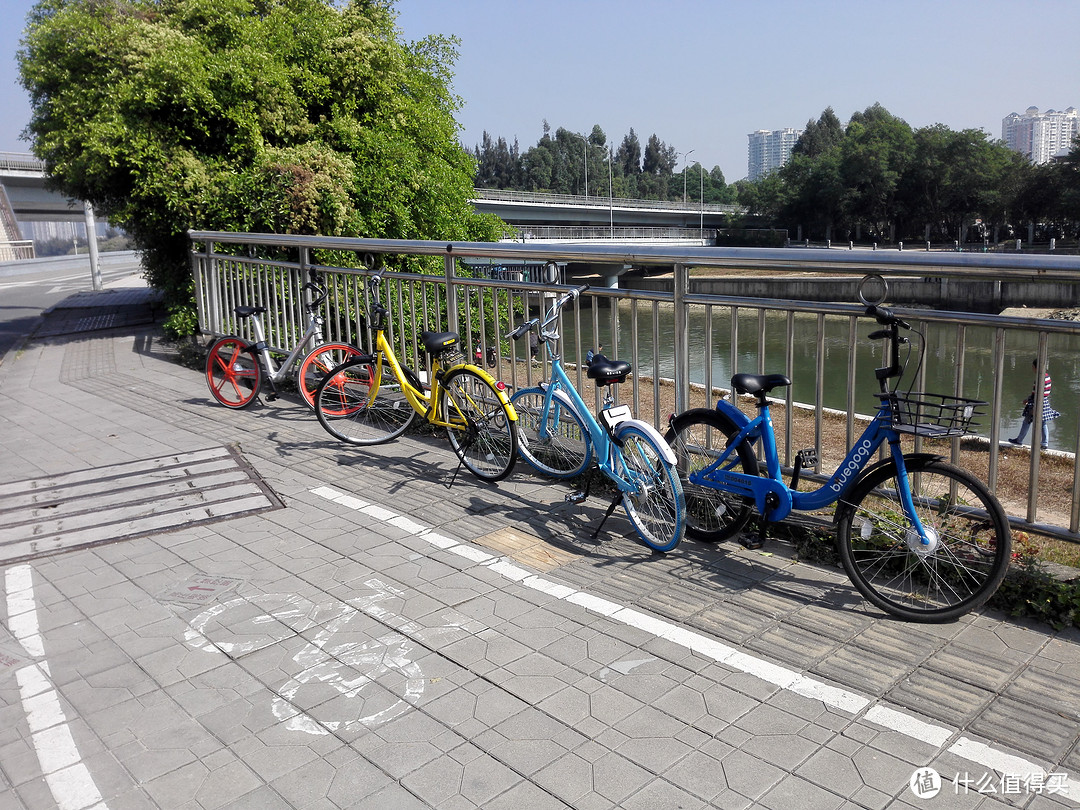 ofo、摩拜、小鸣、小蓝——几款共享单车的集中体验