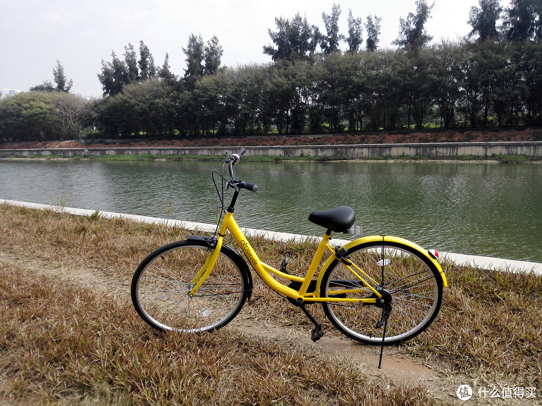 ofo、摩拜、小鸣、小蓝——几款共享单车的集中体验