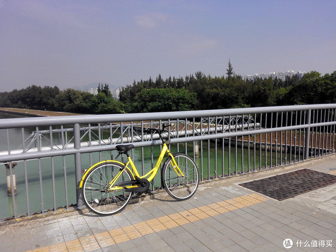 ofo、摩拜、小鸣、小蓝——几款共享单车的集中体验