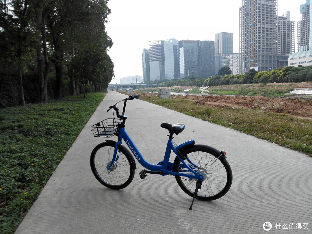 ofo、摩拜、小鸣、小蓝——几款共享单车的集中体验