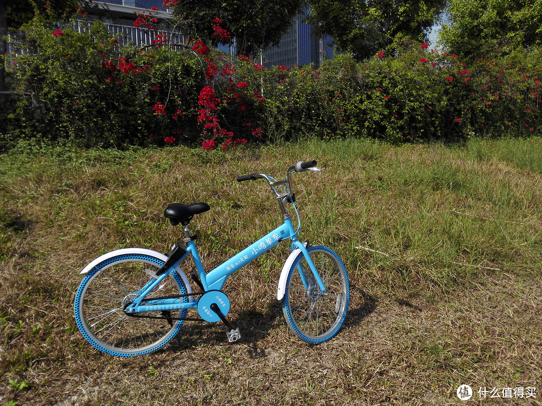 ofo、摩拜、小鸣、小蓝——几款共享单车的集中体验