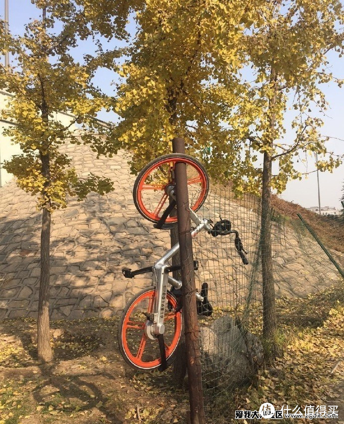 ofo、摩拜、小鸣、小蓝——几款共享单车的集中体验