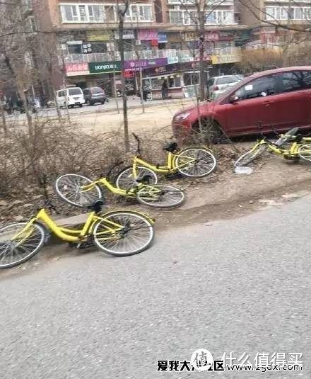 ofo、摩拜、小鸣、小蓝——几款共享单车的集中体验