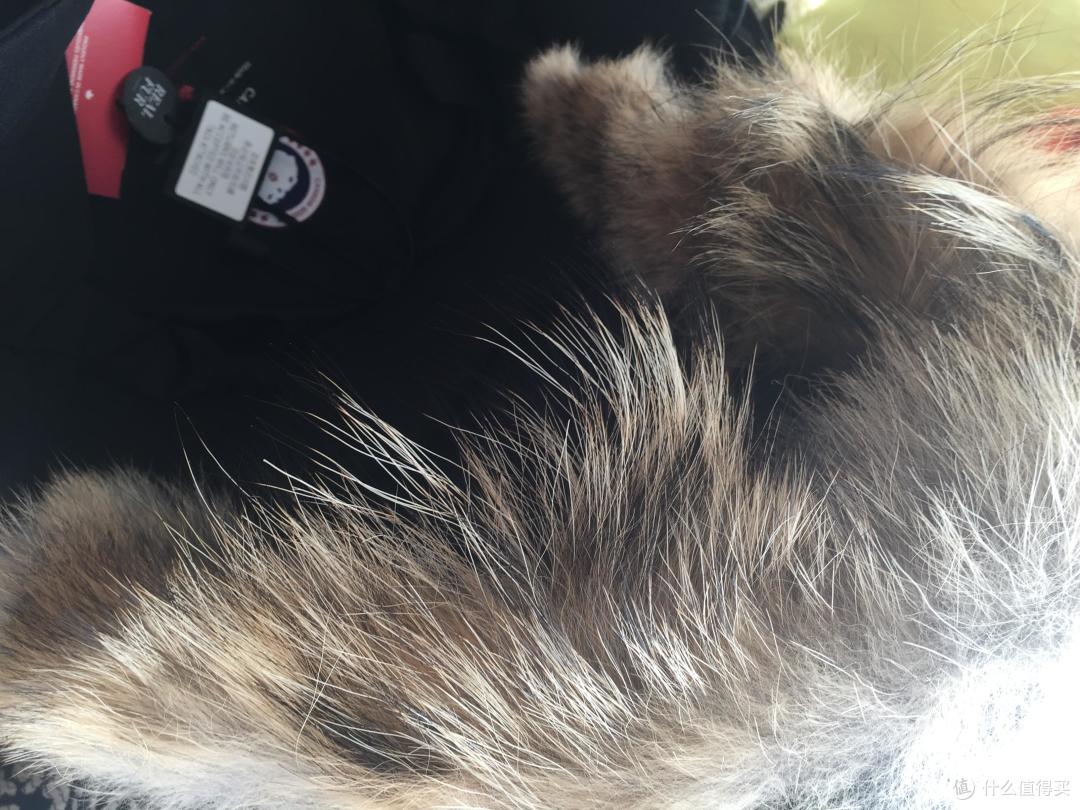 Canada Goose Savona Bomber 女式羽绒服 开箱