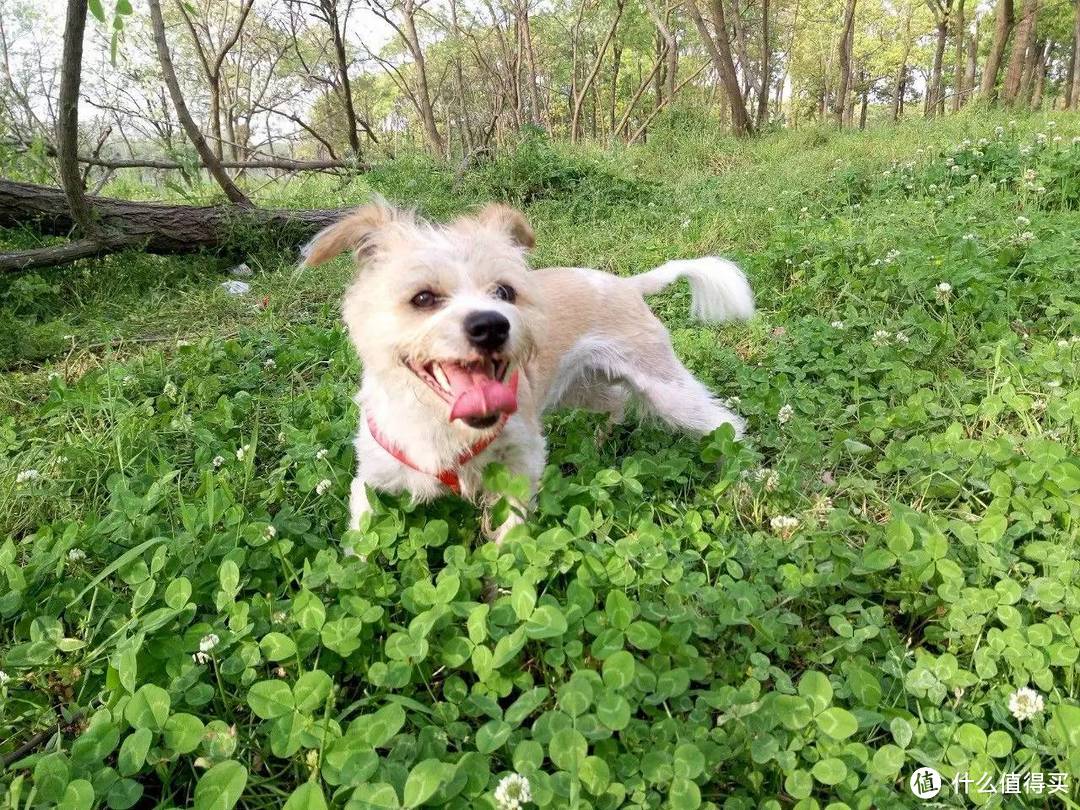 遭遇车祸的紧急处理与责任反思