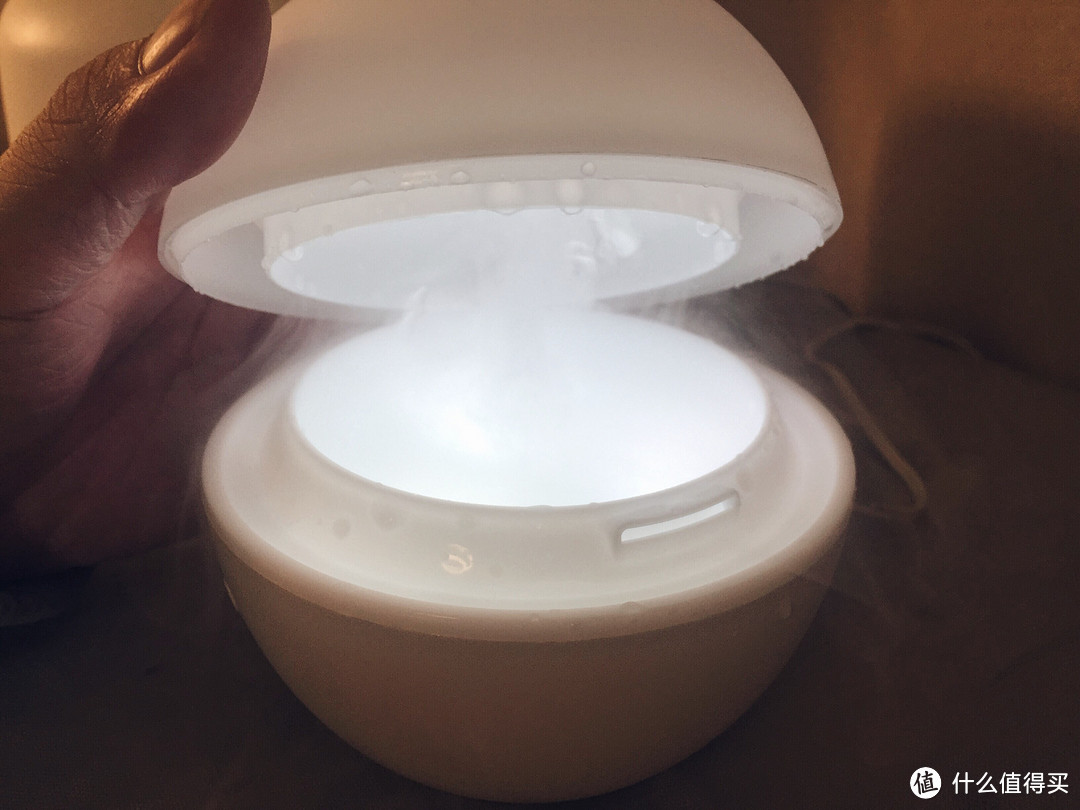 对抗干燥冬季：MUJI 无印良品 与 ELECOM 宜丽客 香薰加湿器