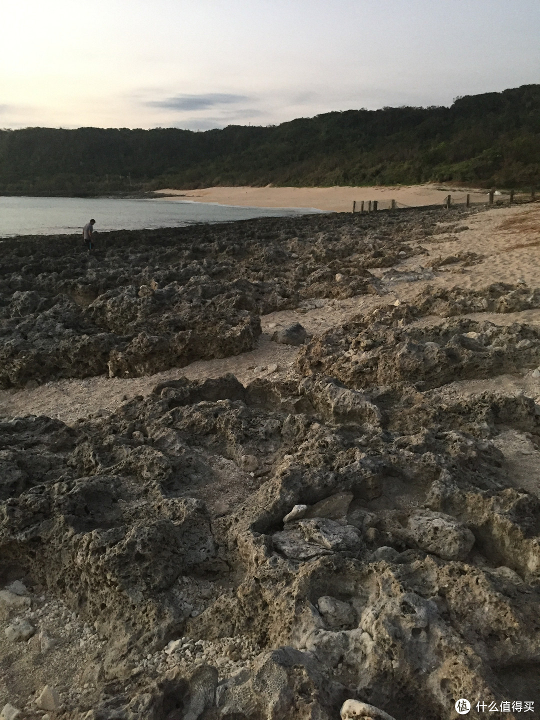 用绳命来一场旅行-宝岛台湾亲子游杂记