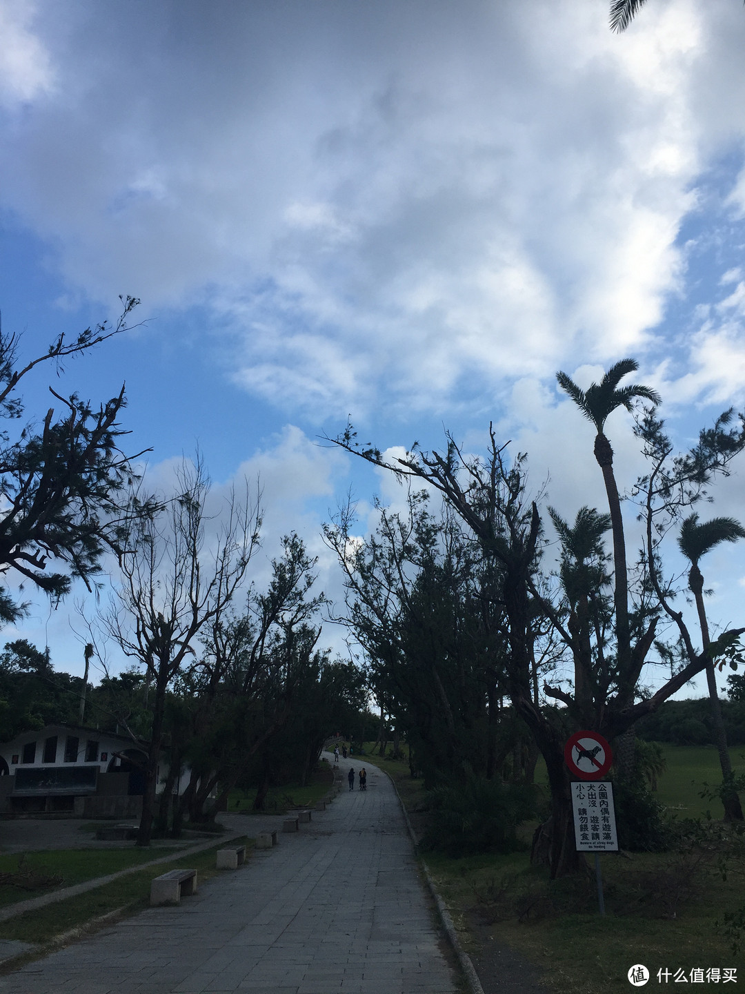 用绳命来一场旅行-宝岛台湾亲子游杂记