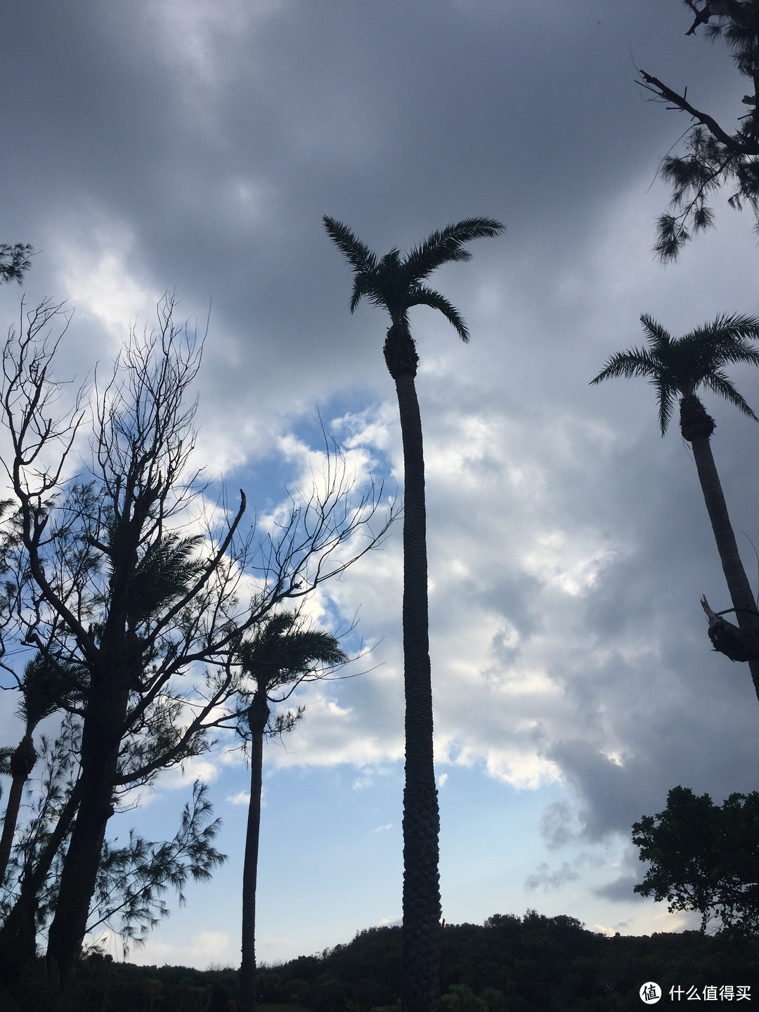 用绳命来一场旅行-宝岛台湾亲子游杂记