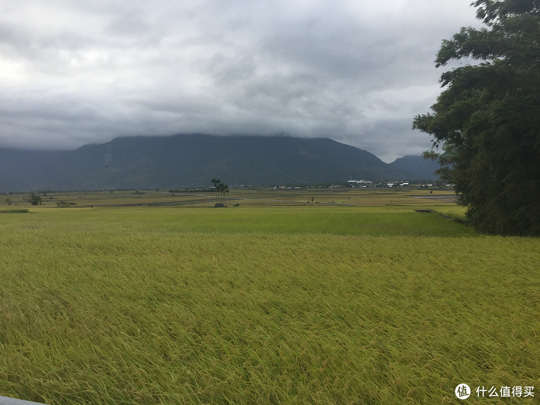 用绳命来一场旅行-宝岛台湾亲子游杂记