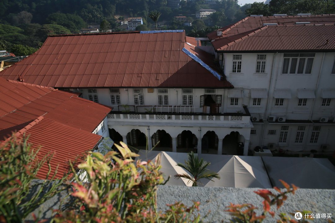 佛牙寺和皇家植物园