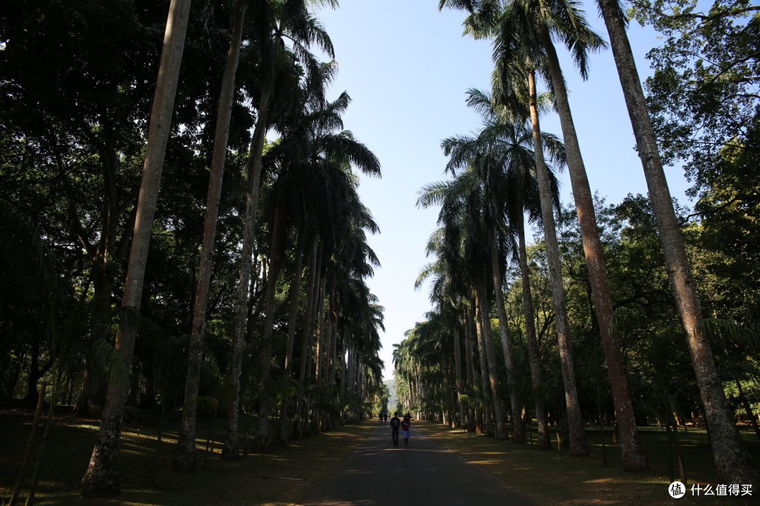 佛牙寺和皇家植物园
