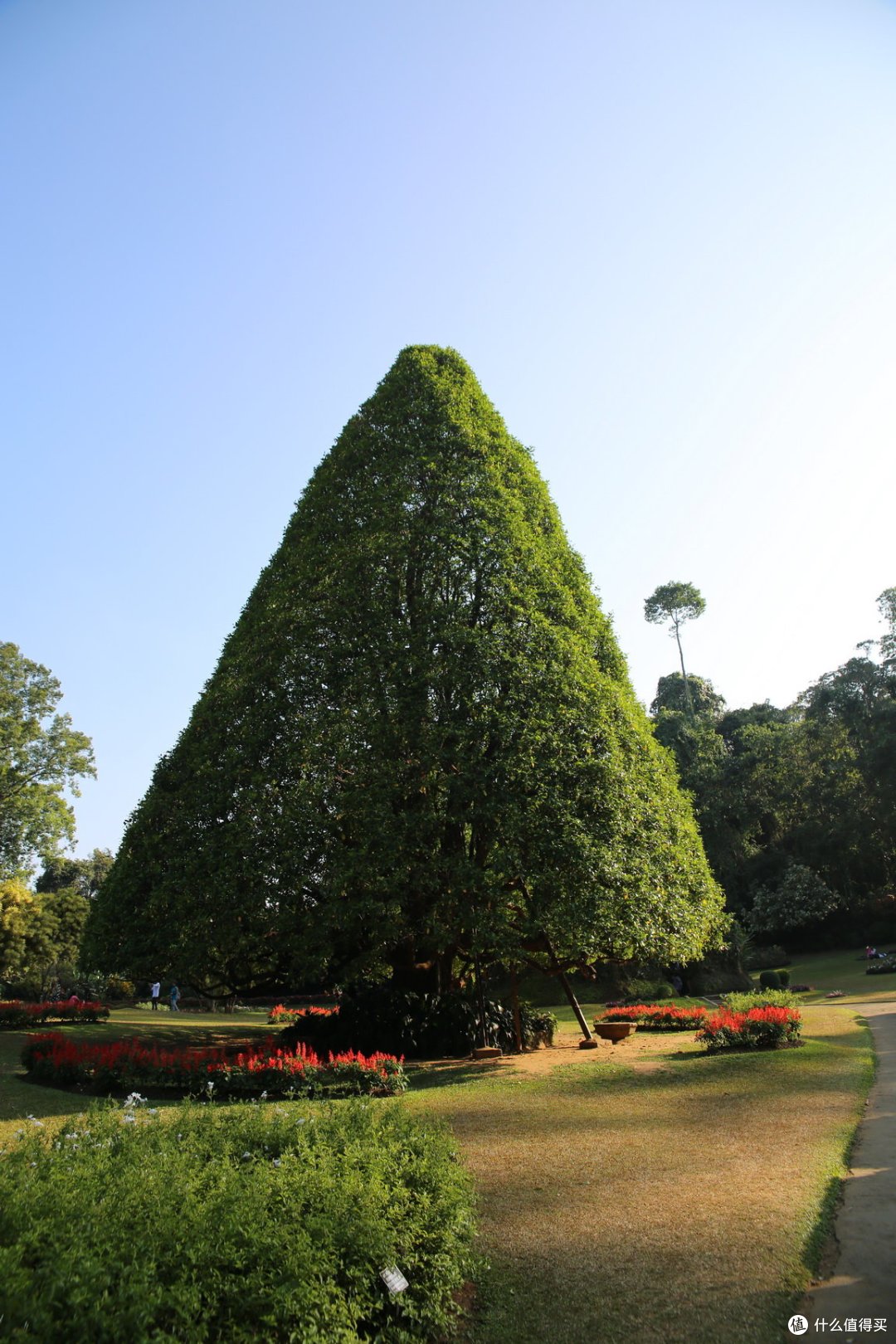 佛牙寺和皇家植物园