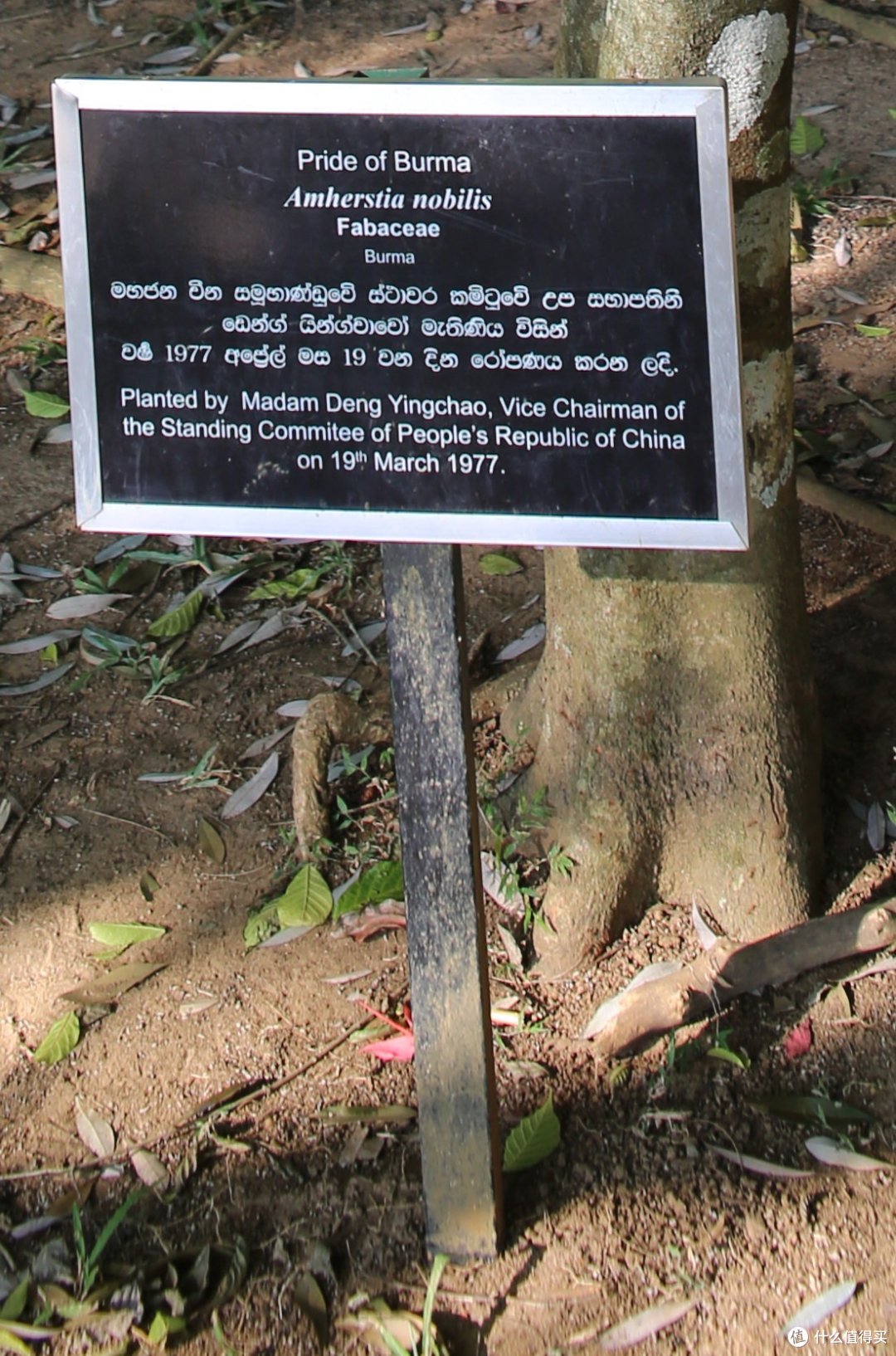 佛牙寺和皇家植物园