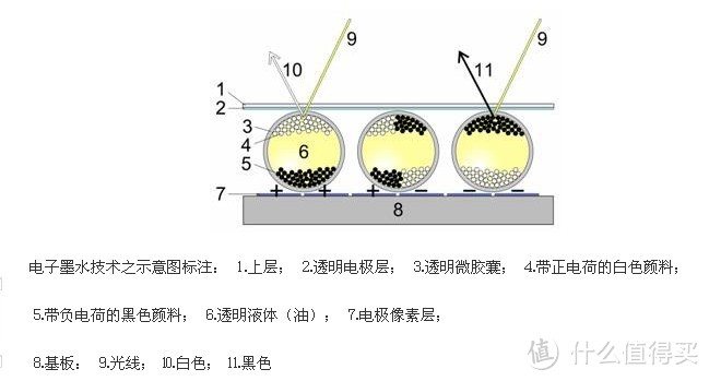 浅谈电纸书的世界