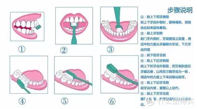 在国外生活七年的原创推荐 — 牙齿护理篇