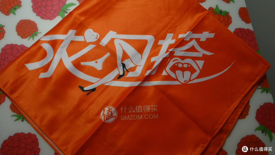 我是来晒周边的——SMZDM天津剁首聚活动侧记
