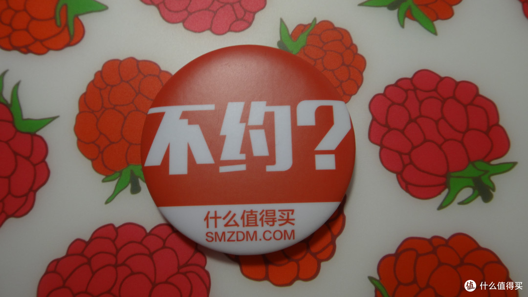 我是来晒周边的——SMZDM天津剁首聚活动侧记